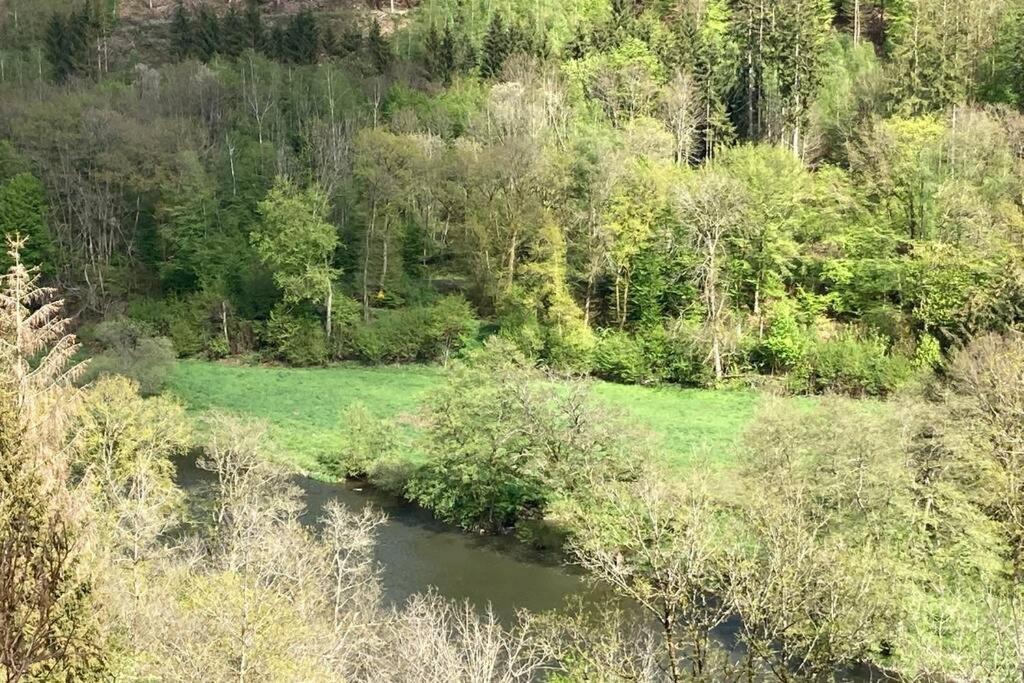 La Mejounete De Lucie Vresse-sur-Semois Bagian luar foto