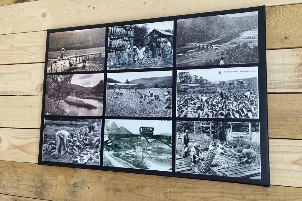 La Mejounete De Lucie Vresse-sur-Semois Bagian luar foto