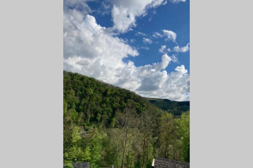 La Mejounete De Lucie Vresse-sur-Semois Bagian luar foto