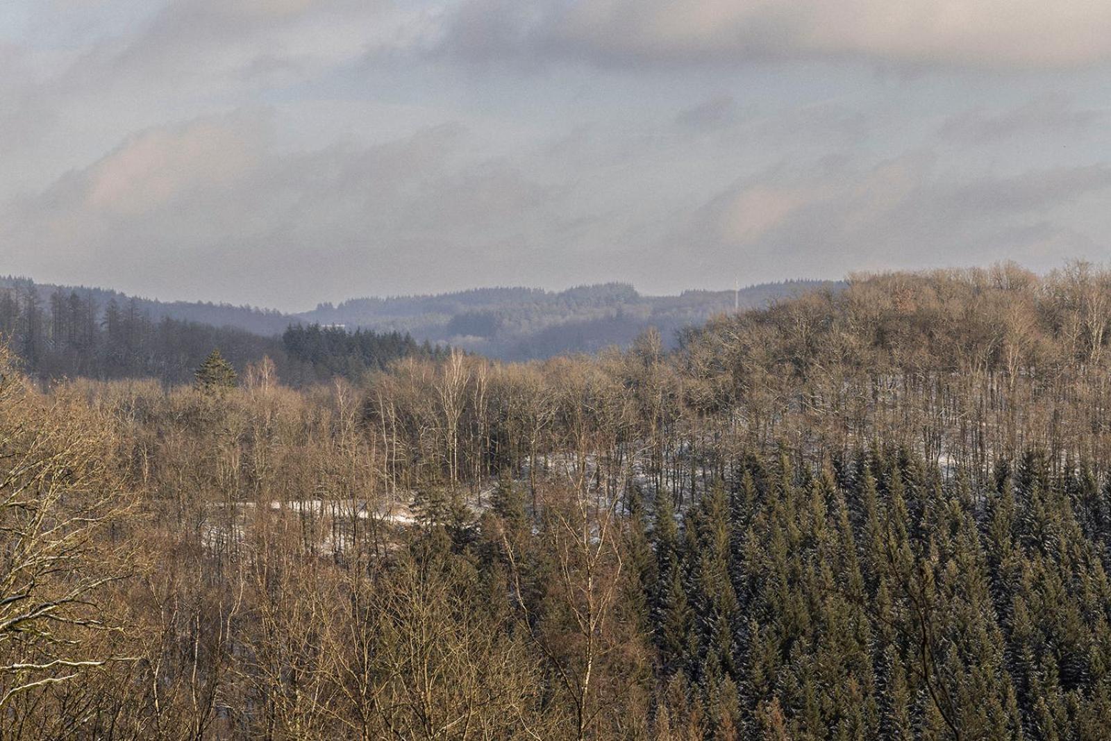La Mejounete De Lucie Vresse-sur-Semois Bagian luar foto