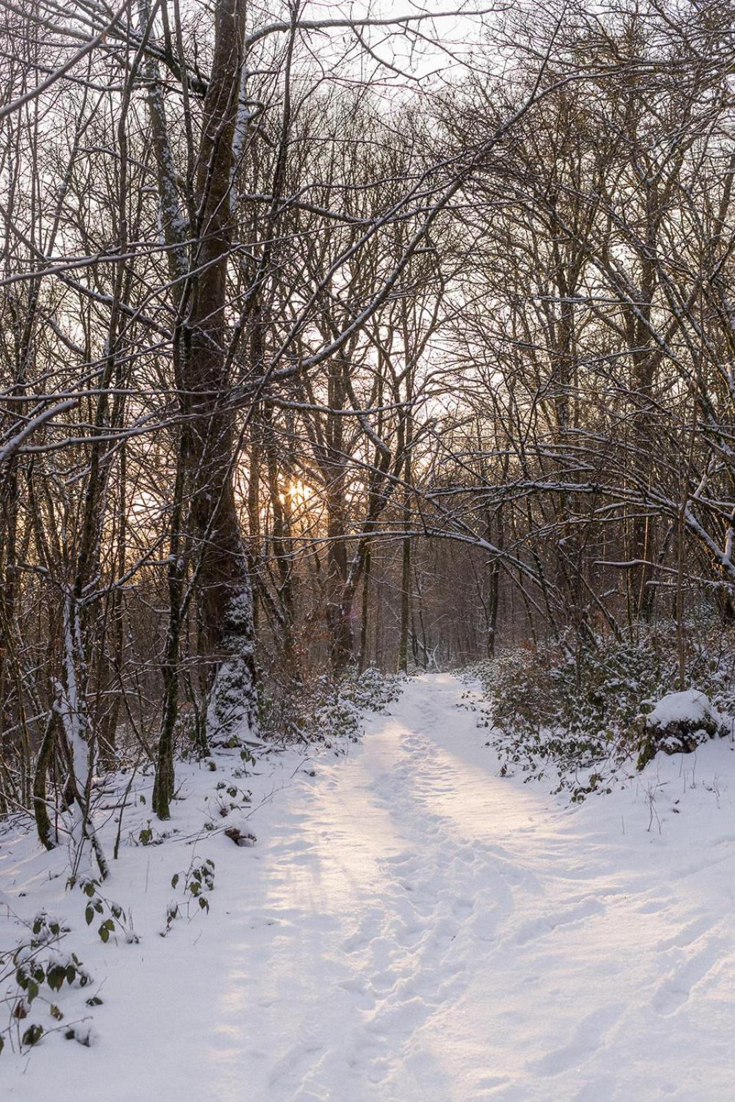 La Mejounete De Lucie Vresse-sur-Semois Bagian luar foto
